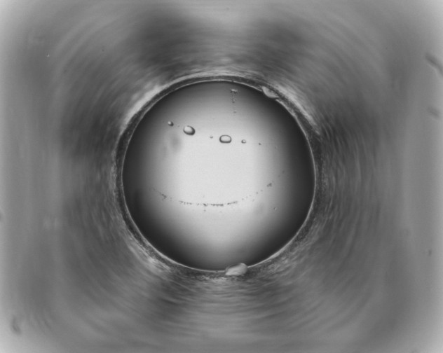 X0000096491460200802071931