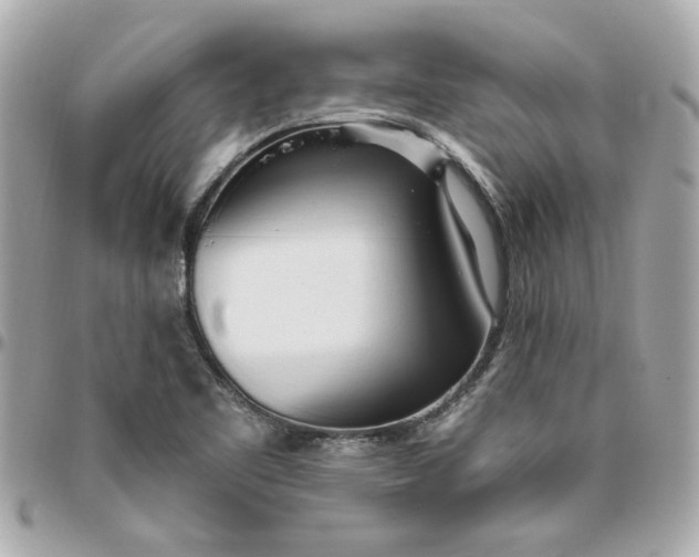 X0000096491461200802071931