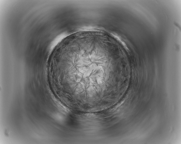 X0000096491463200802071931