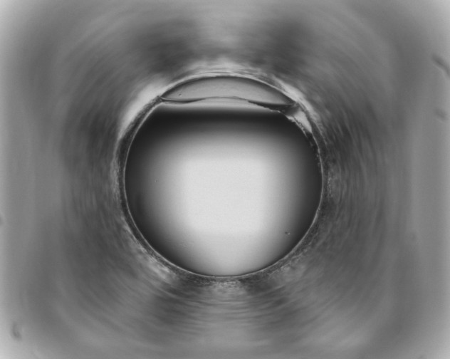 X0000096491464200802071931