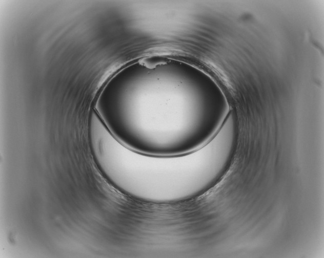 X0000096491465200802071931