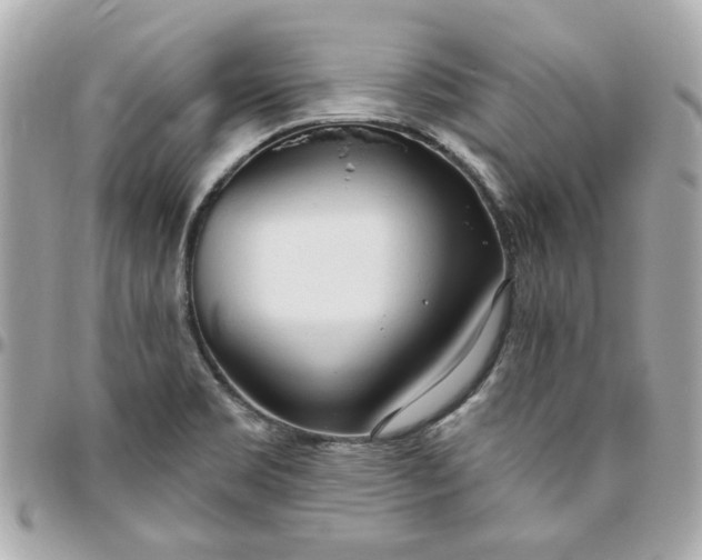 X0000096491469200802071931