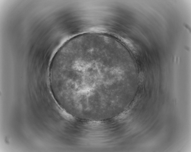 X0000096491470200802071931