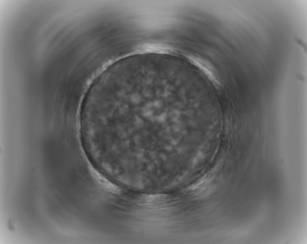 X0000096491471200802071931