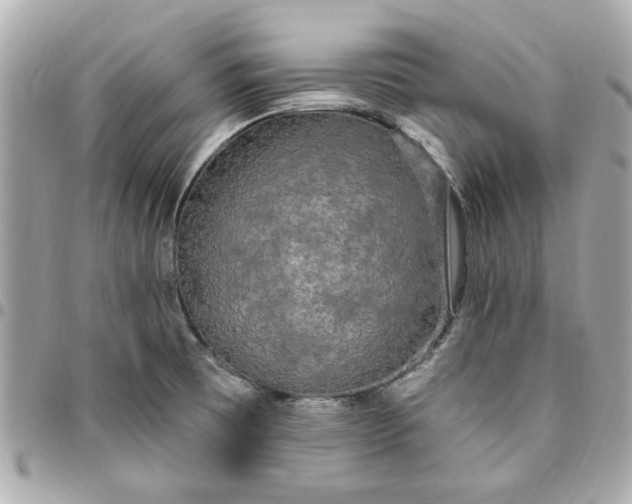 X0000096491473200802071931