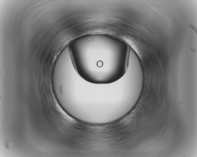 X0000096491476200802071931