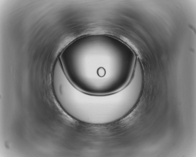 X0000096491477200802071931