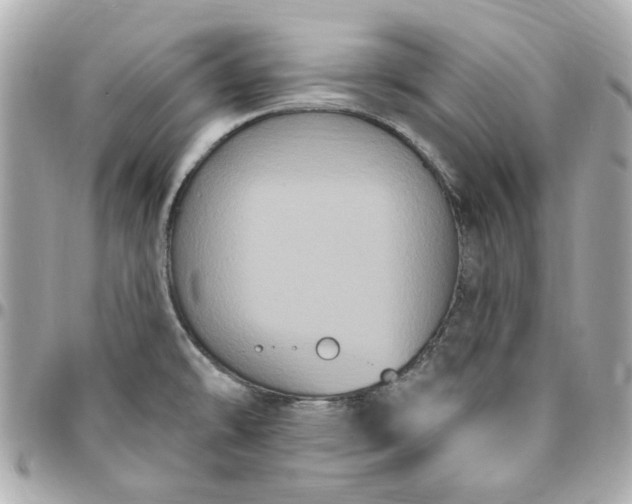 X0000096491478200802071931