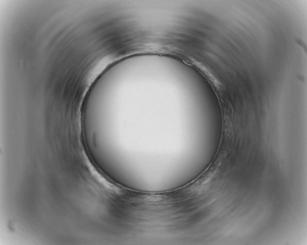 X0000096491479200802071931