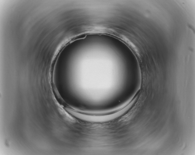 X0000096491480200802071931