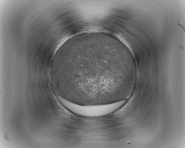 X0000096491481200802071931