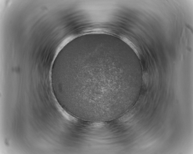 X0000096491482200802071931