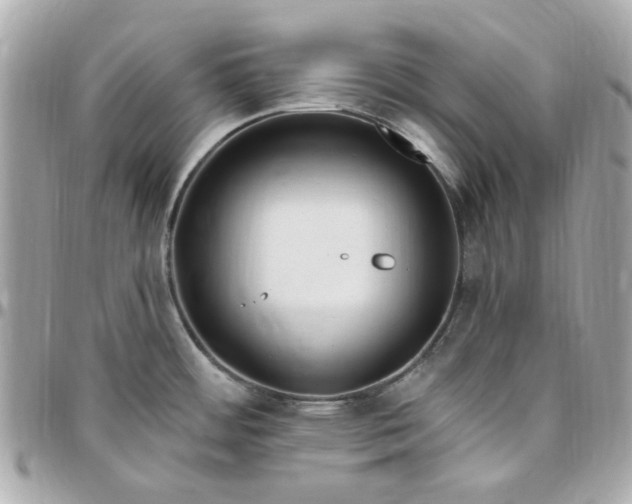 X0000096491484200802071931