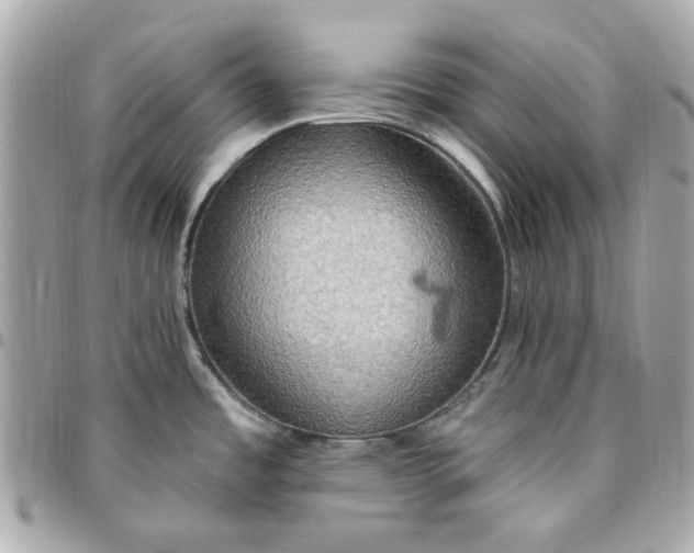 X0000096491485200802071931