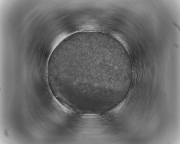 X0000096491487200802071931