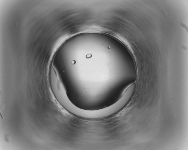 X0000096491488200802071931