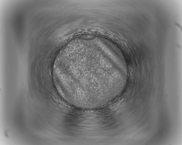 X0000096491489200802071930