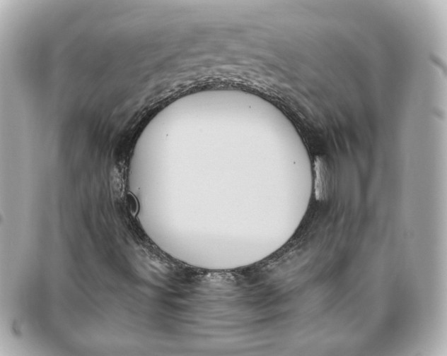 X0000096491491200802071930