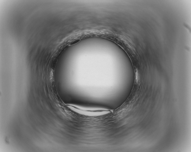 X0000096491492200802071931