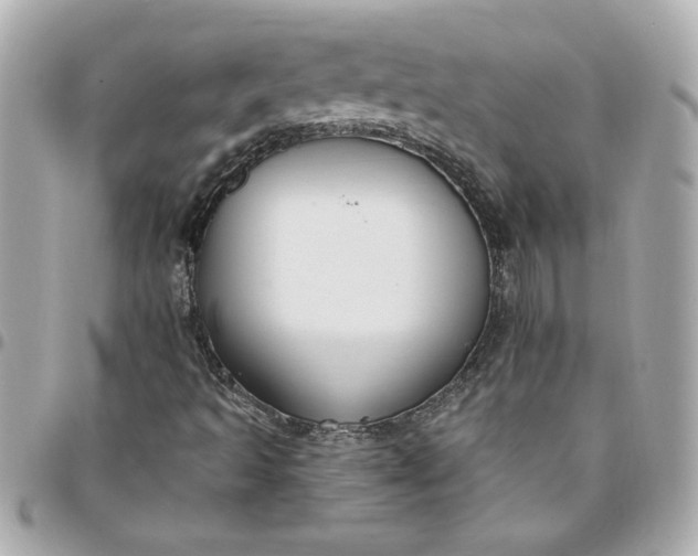 X0000096491493200802071931