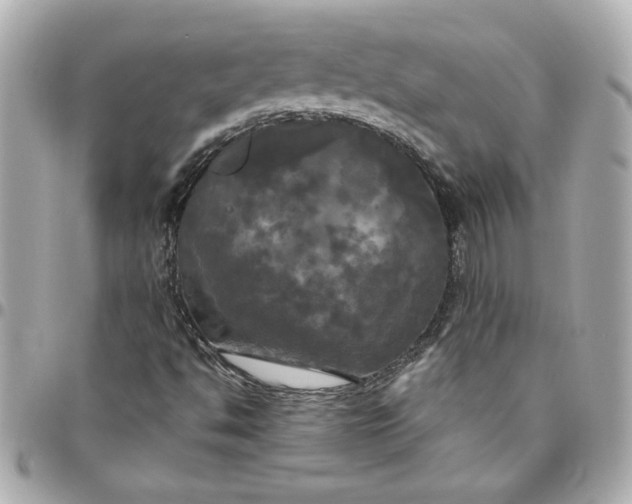 X0000096491494200802071931