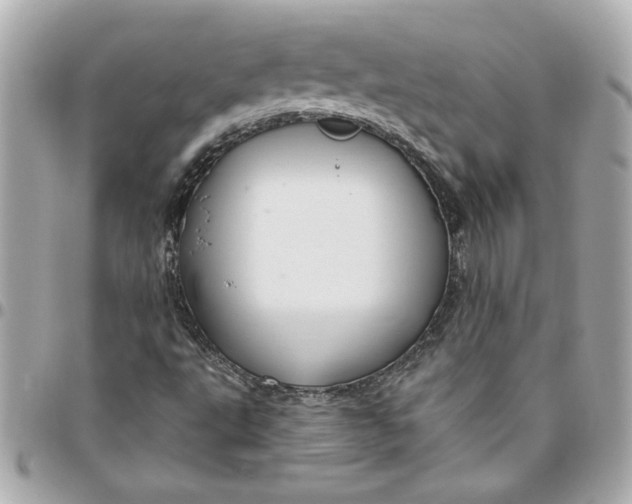 X0000096491495200802071931