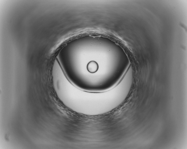 X0000096491496200802071931