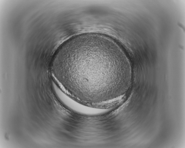 X0000096491497200802071931