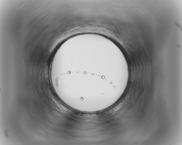 X0000096491498200802071931