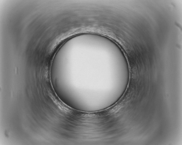 X0000096491499200802071931