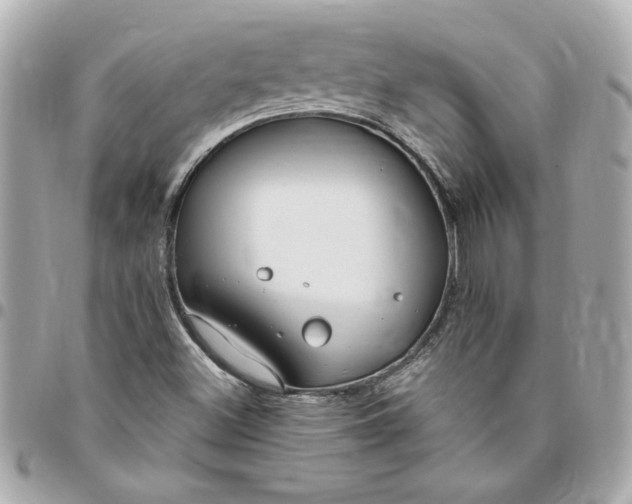 X0000096491500200802071931