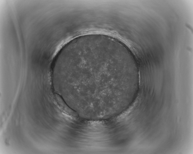 X0000096491501200802071931