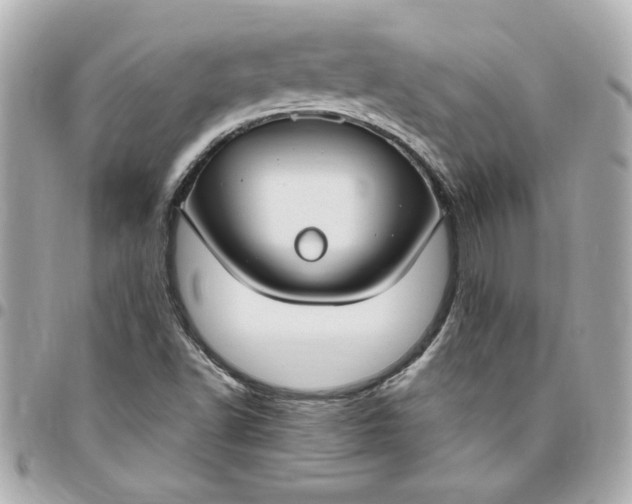 X0000096491502200802071931