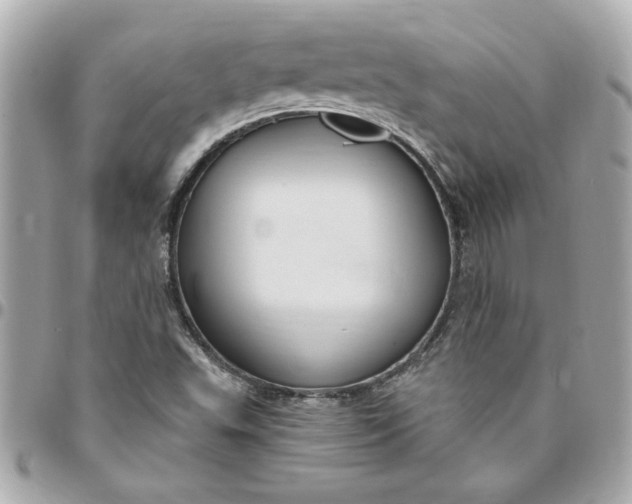 X0000096491503200802071931