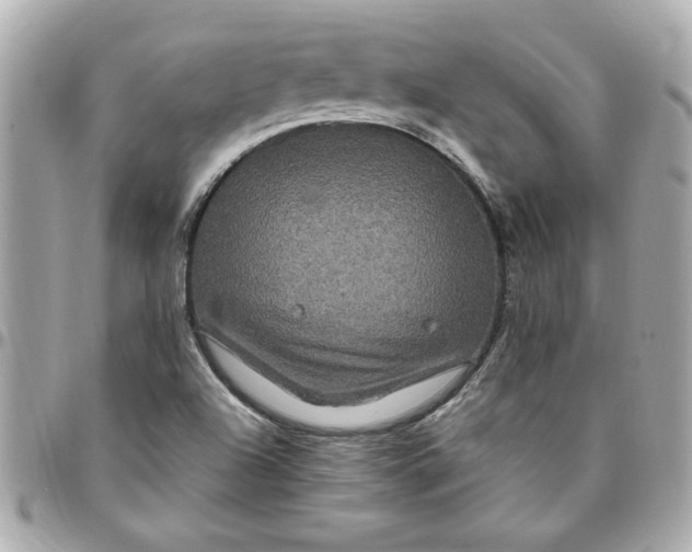 X0000096491504200802071931