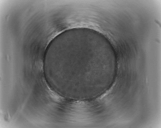 X0000096491505200802071931