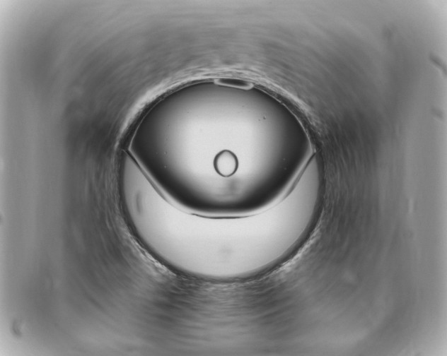 X0000096491506200802071931