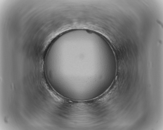 X0000096491507200802071931