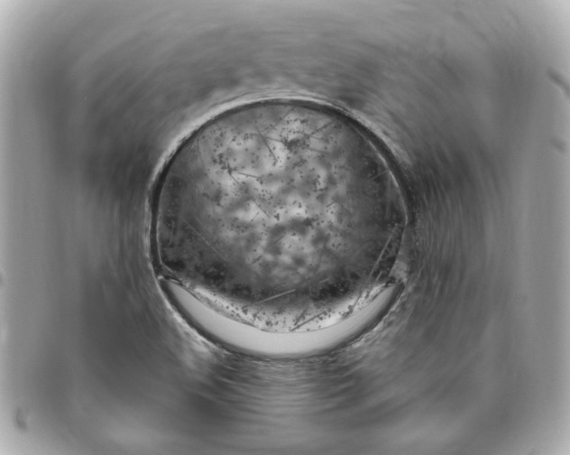 X0000096491508200802071931