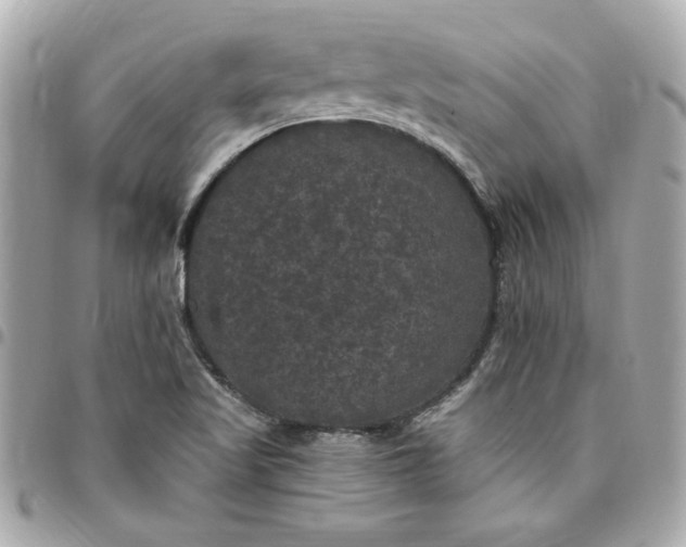 X0000096491509200802071931