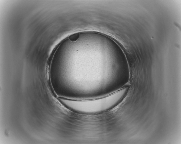 X0000096491510200802071931