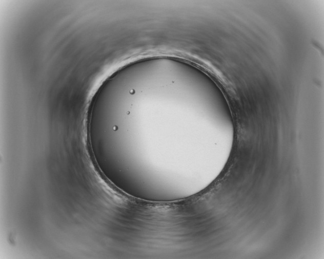 X0000096491512200802071931