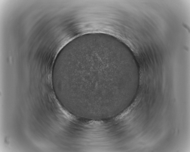 X0000096491513200802071931