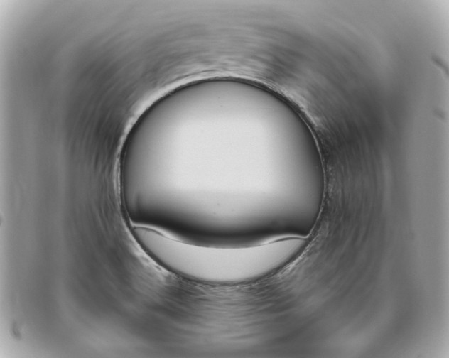 X0000096491516200802071931