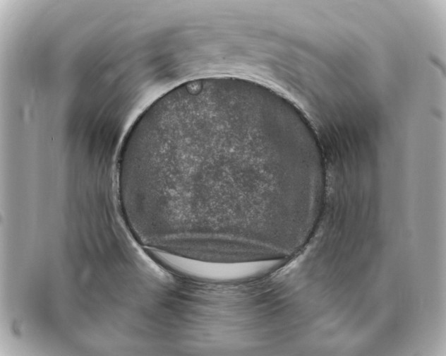 X0000096491517200802071931