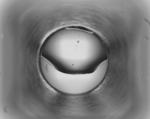 X0000096491518200802071931