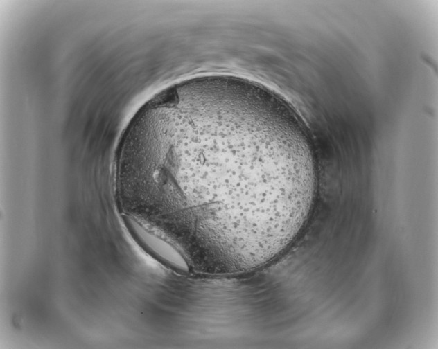 X0000096491519200802071931