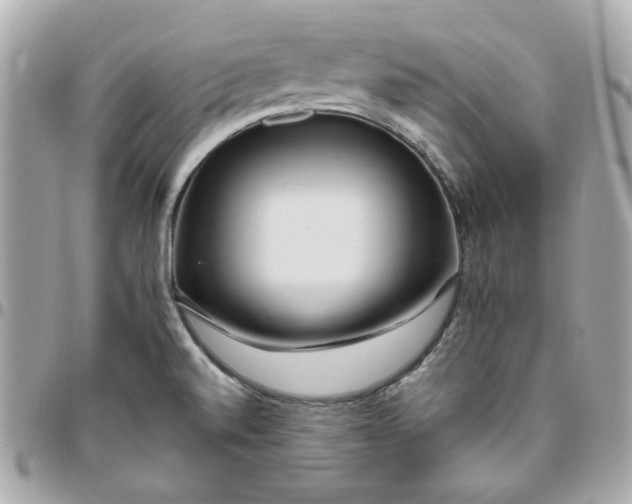 X0000096491520200802071931