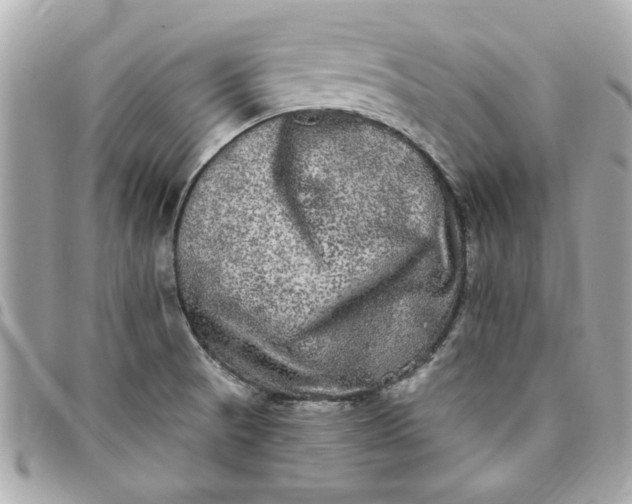 X0000096491521200802071931