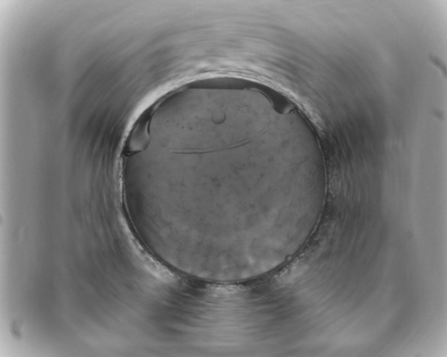 X0000096491522200802071931